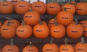 what makes one pumpkin different from another