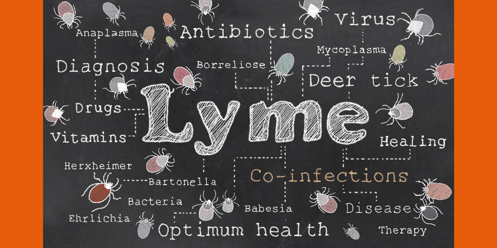 lyme gets in the way