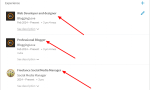 LinkedIn Job Titles