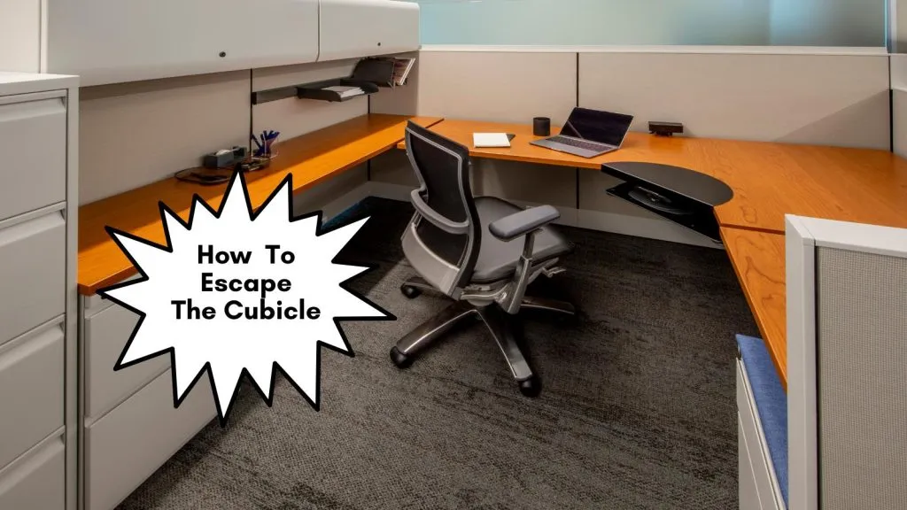 escape the cubicle