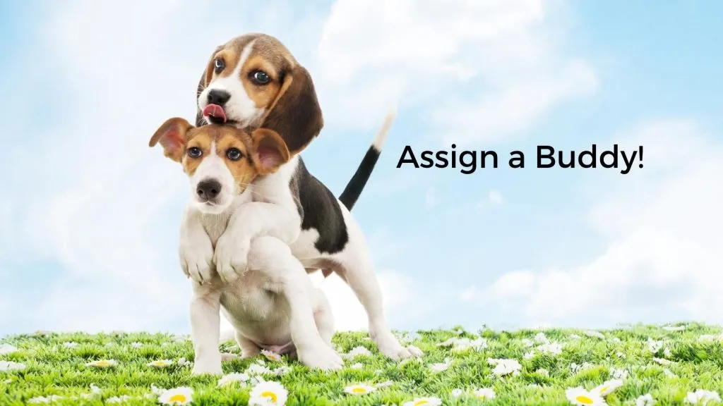 assign a buddy for hiring experts