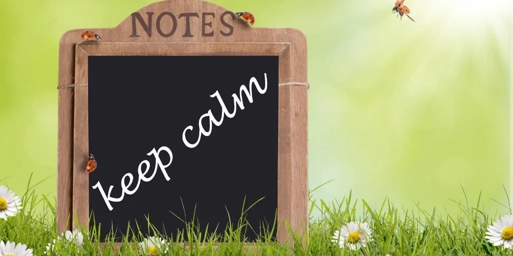 keep calm when online business is struggling