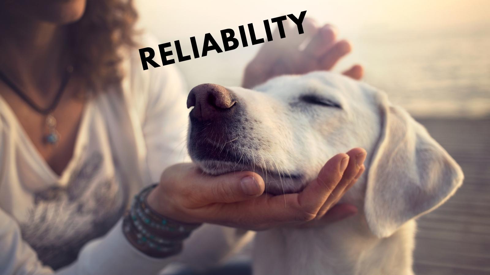 reliability for your business