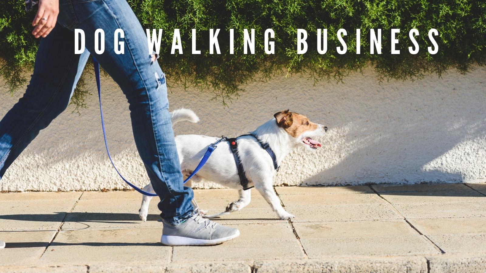 dog walking business