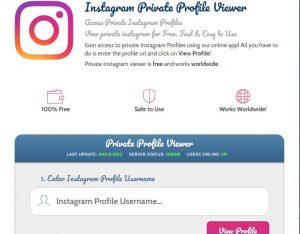 Istalooker for viewing private instagram accounts