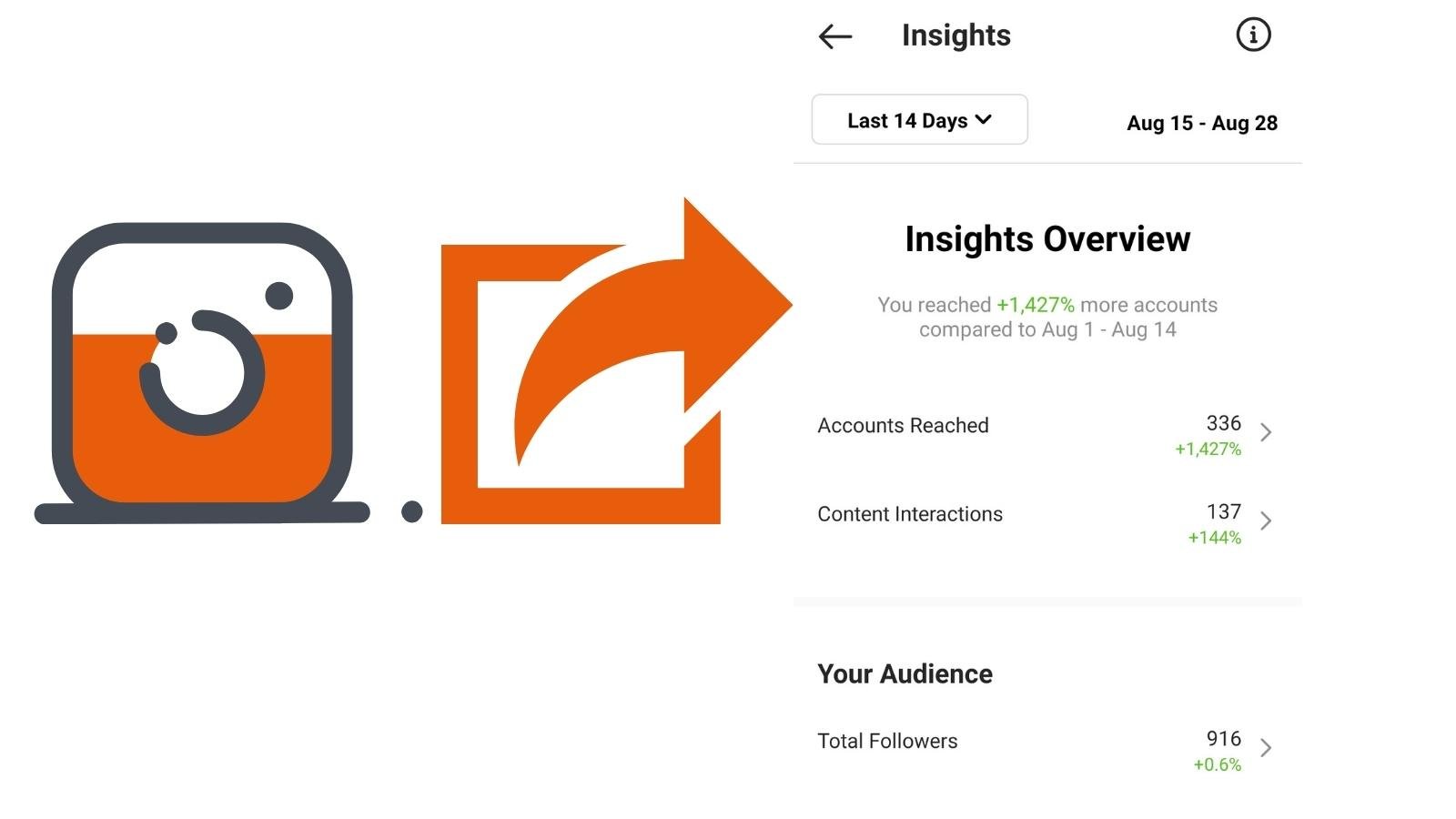 check your Instagram insights