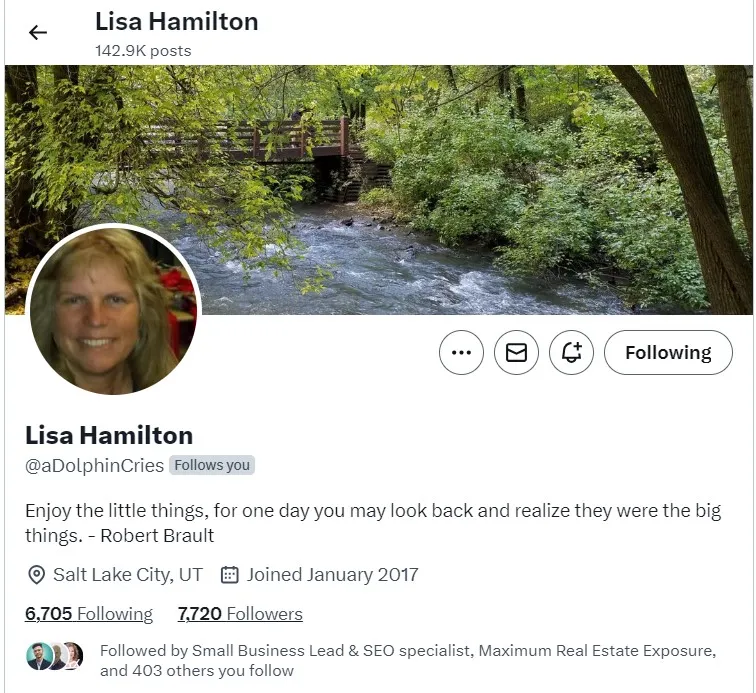 lisa Hamilton real estate agents on twitter