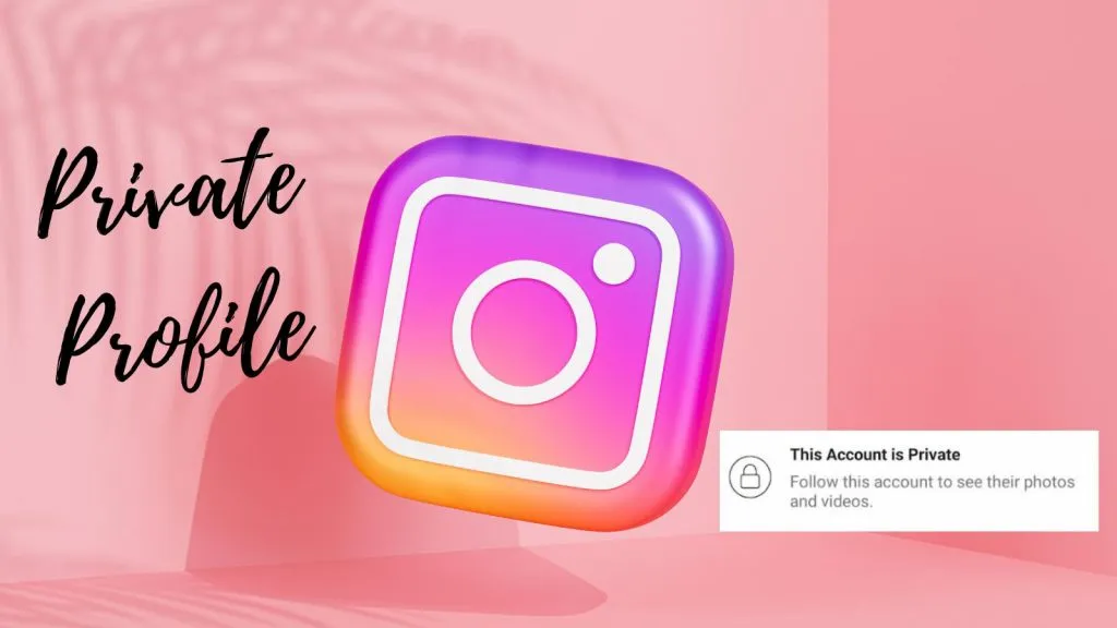 how to view a private Instagram profile