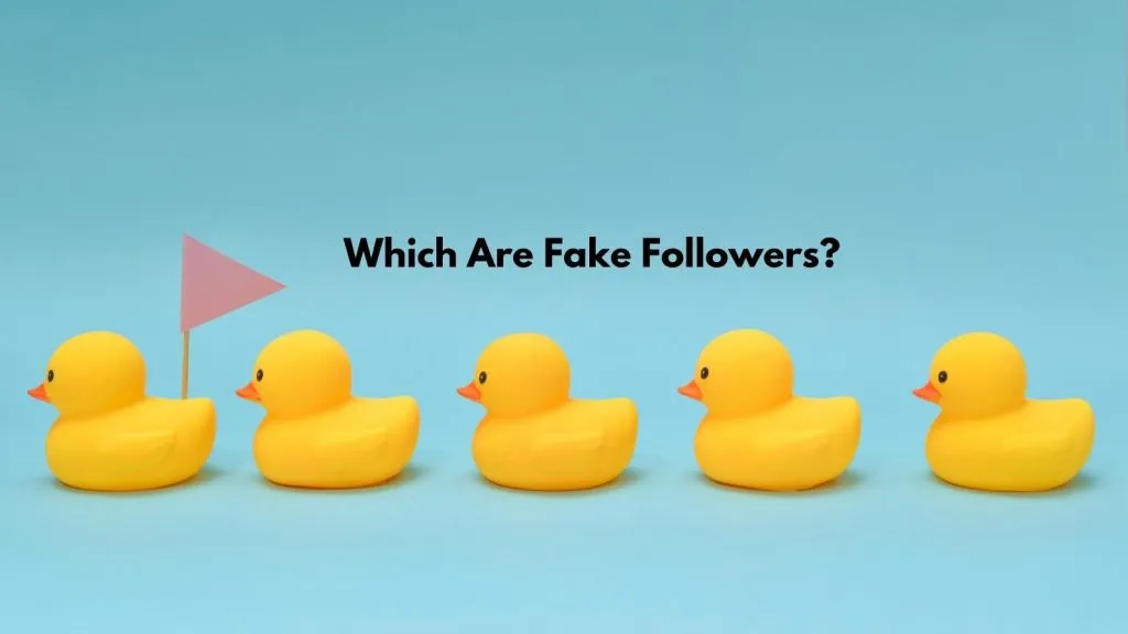 fake followers