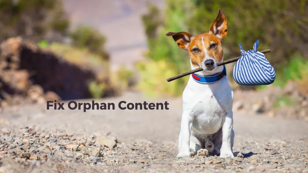 fix orphan content