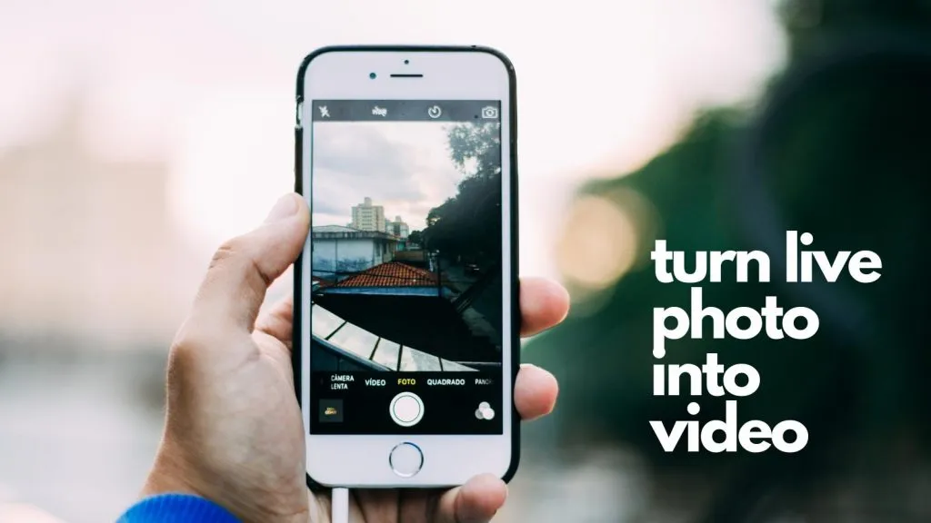 All You Need To Know About How To Save Live Photos As Video