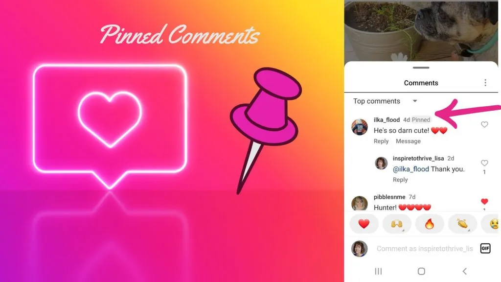 Instagram Spam Comments - How To Delete A Comment